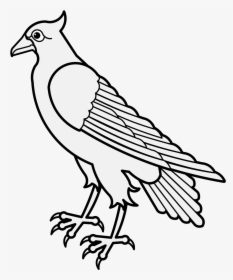 Dove Clipart Traceable - Osprey, HD Png Download, Free Download