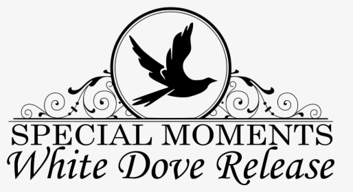 Special Moments White Dove Release, HD Png Download, Free Download