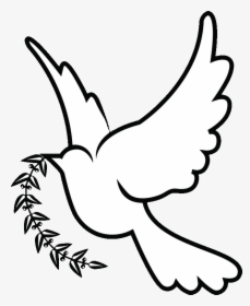 Columbidae Christianity Symbols As Dove Doves Clipart - White Dove Drawing, HD Png Download, Free Download