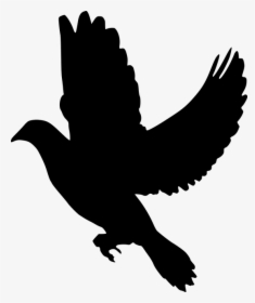 Silhouette, Peace, Dove, Flying, Olive, Branch, Symbol - Black Dove Clipart, HD Png Download, Free Download