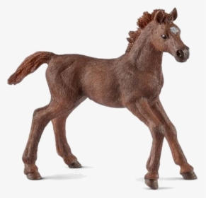 Thoroughbred Schleich Horse Foal, HD Png Download, Free Download