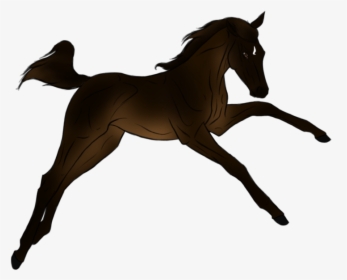 Foal Horse Stallion Pony Mane - Mane, HD Png Download, Free Download