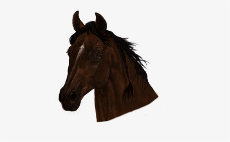 Transparent Horse Head Mask Png - Horsehead Png, Png Download, Free Download