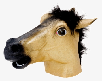 Horse Face With Transparent, HD Png Download, Free Download