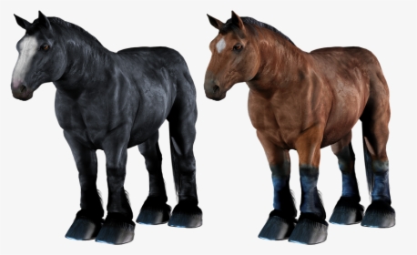 Transparent Horses Png - Draft Horse Transparent, Png Download, Free Download