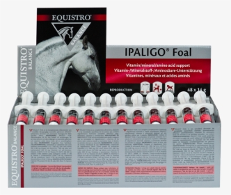 Ipaligo Foal, HD Png Download, Free Download