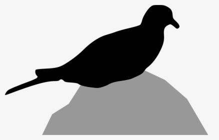 Transparent Dove Silhouette Png - Pigeons And Doves, Png Download, Free Download