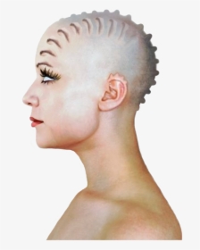Transparent Bald Head Png - Bust, Png Download, Free Download