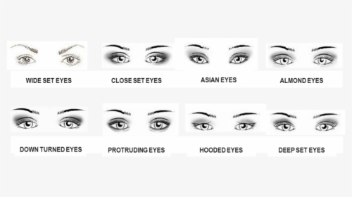 Makeup Types Of Eyes 21 - Asian Eyes Vs Almond Eyes, HD Png Download, Free Download