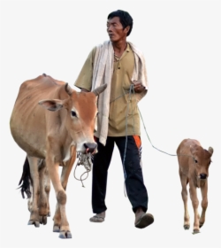 Picsart Cow And Farmer Png, Transparent Png, Free Download