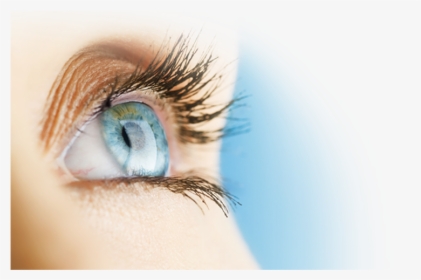 Eye - Ночные Линзы, HD Png Download, Free Download