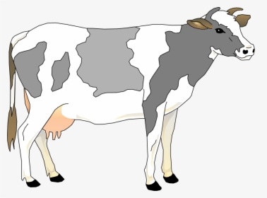 Cow Png Clipart - Grey And White Cow, Transparent Png, Free Download