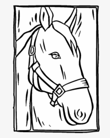 Horse Head Coloring Pages - Mane, HD Png Download, Free Download