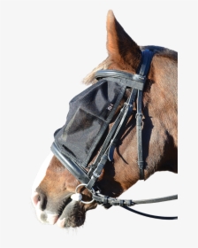 Ride On Fly Mask, HD Png Download, Free Download