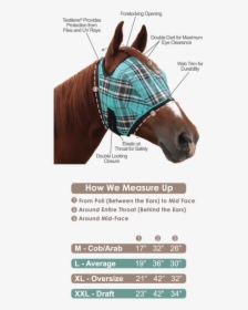 Fly Mask With Web Trim"     Data Rimg="lazy"  Data - Measure A Horse For A Fly Mask, HD Png Download, Free Download