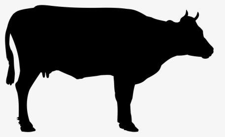 Cow 999px Black And White Animals Cow - Cow Black And White Png, Transparent Png, Free Download
