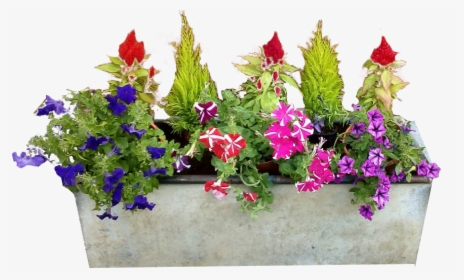 Concrete Planter Flowers No Background Png Image - Window Flower Boxes Png, Transparent Png, Free Download
