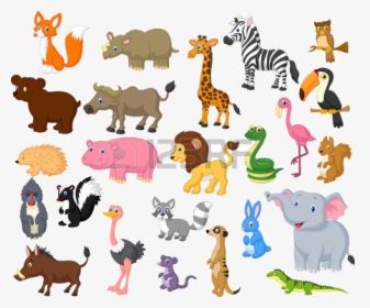 Animal Wild Animals Clipart Free Cliparts Images On - Animales De La Selva Peruana Animados, HD Png Download, Free Download