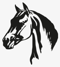 Silhouette Horse Head Black And White, HD Png Download, Free Download