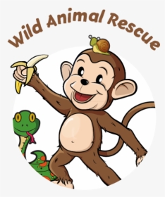 Mettlemonkeys Adventures V2 Animal - Cartoon, HD Png Download, Free Download