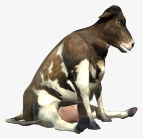 Rosie Sitting - Cow Sit Png, Transparent Png, Free Download