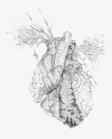 Drawing Tumblr Heart Blog - Transparent Trees Black And White, HD Png Download, Free Download