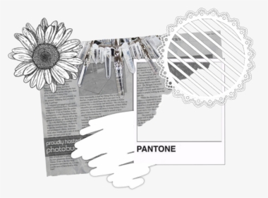 Transparent Fan Clipart Black And White - Edits Overlays Tumblr Png, Png Download, Free Download