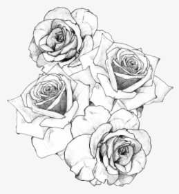Transparent Tumblr Clipart Black And White - Bouquet Of Roses Drawing, HD Png Download, Free Download