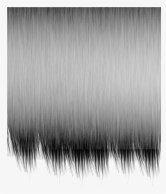 Hair Texture Png, Transparent Png, Free Download