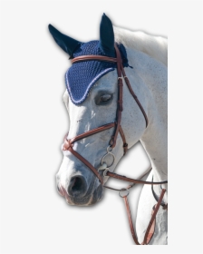 Bridle, HD Png Download, Free Download