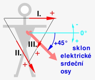 Ecg Einthoven Vect6 Sklon Osy45 - Triangle D Einthoven, HD Png Download, Free Download