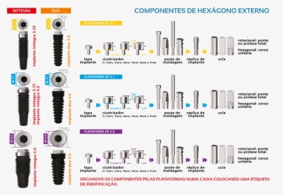 Componentes De Um Implante, HD Png Download, Free Download