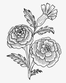 Magnolia Flower Illustration , Png Download - Chrysanths, Transparent Png, Free Download