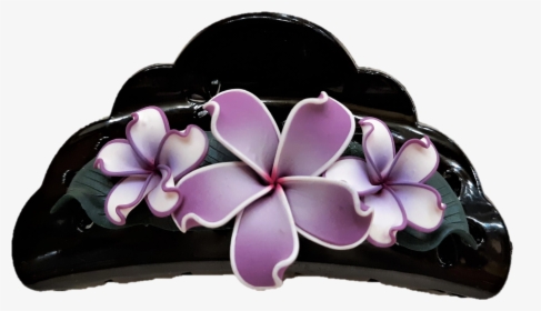 Jennibeans Hair Clip - Moth Orchid, HD Png Download, Free Download