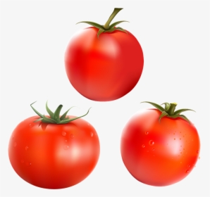 Tomates, Alimentos, Verduras, Cosecha, Nutrición - Plum Tomato, HD Png Download, Free Download