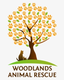 Woodland Animals Png, Transparent Png, Free Download