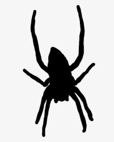Silhouette, Spider, Web, Long, Legs, Arachnid Public - Png Spider Cartoon, Transparent Png, Free Download