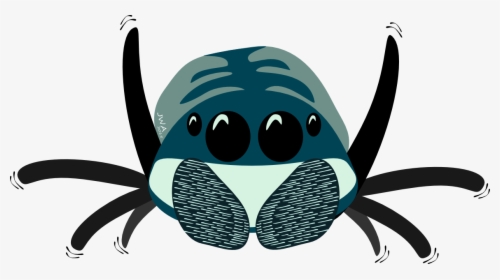 Cartoon Jumping Spider, HD Png Download, Free Download