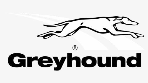 Transparent Greyhound Dog Clipart - Greyhound Logo, HD Png Download, Free Download