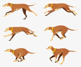 Italian Greyhound Dog Breed Crossbreed Clip Art - Dog Catches Something, HD Png Download, Free Download