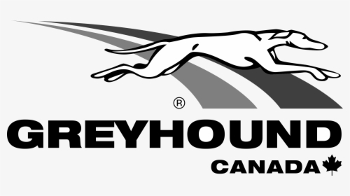 Greyhound Canada Logo Png Transparent - Greyhound Canada Logo, Png Download, Free Download