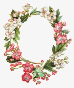 Apple Blossom Wreath - Flower Oval Frame Transparent, HD Png Download, Free Download
