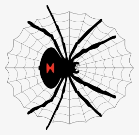 Transparent Black Widow Png - Cartoon Drawing Black Widow Spider, Png Download, Free Download