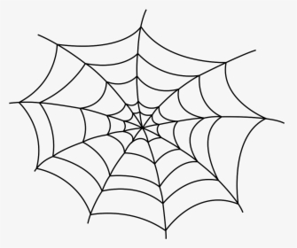 Spider Web Drawing Clip Art - Black Spider Web Transparent, HD Png Download, Free Download