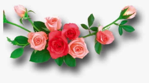 Red Rose Clipart Leaf Png - Flowers With White Background Hd, Transparent Png, Free Download