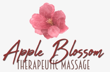 Swedish Massage, Deep Tissue Massage, Trigger Point, - Camellia Sasanqua, HD Png Download, Free Download