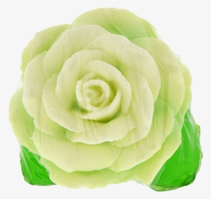 Picture Of Fruit Soap Rose Leaf - Persian Buttercup, HD Png Download, Free Download