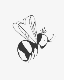 Bee Png - Membrane-winged Insect, Transparent Png, Free Download