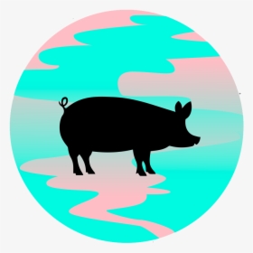 Canvas Antioxidant Wellington Pig Daniel Shoe White - Domestic Pig, HD Png Download, Free Download