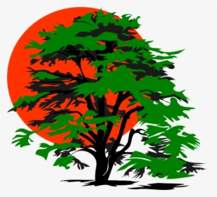 Cedar Tree Clipart - Family Tree Clipart, HD Png Download, Free Download